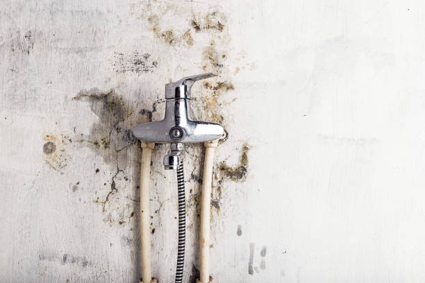 Best Mold Remediation Services  in Tuntutuli, AK