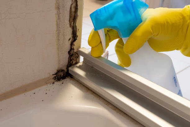 Best Certified Mold Removal  in Tuntutuli, AK