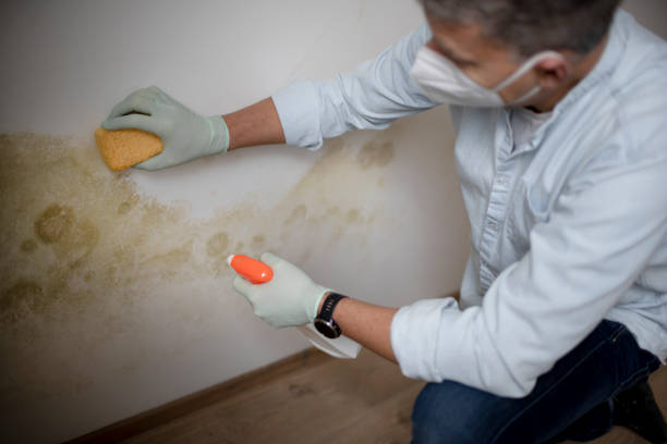 Best Commercial Mold Removal  in Tuntutuli, AK