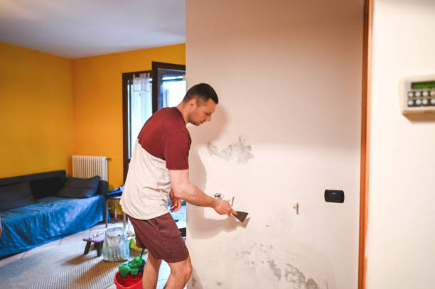 Trusted Tuntutuliak, AK Mold Removal Experts